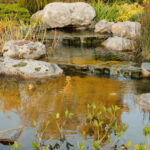 Water Features and Ponds