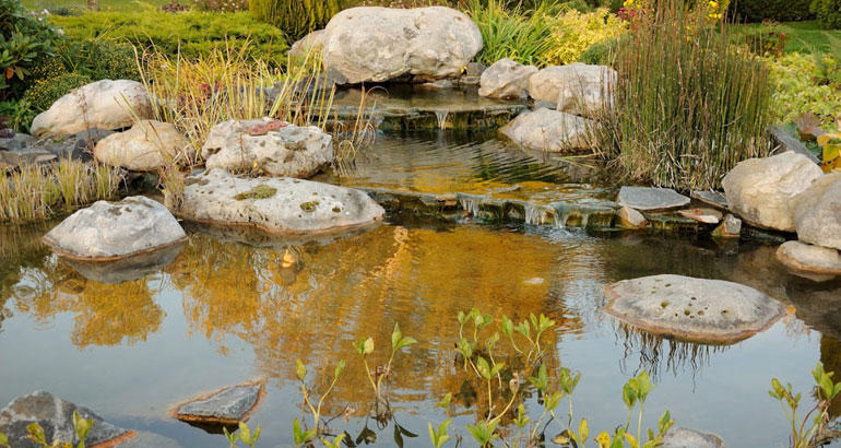 Water Features and Ponds